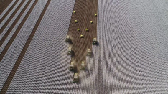 Lombard Farms Harvest